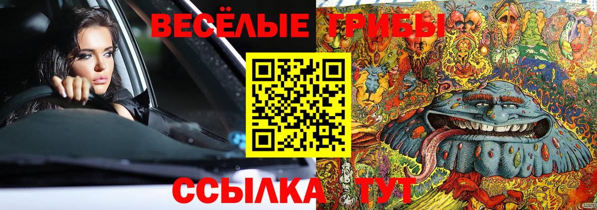 Псилоцибиновые грибы мухоморы Вологда
