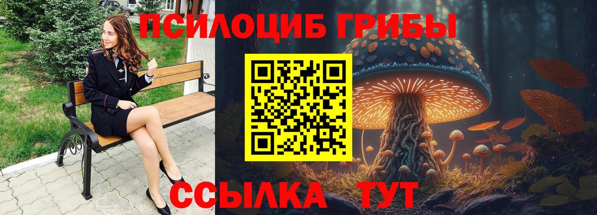 Галлюциногенные грибы мицелий  купить наркотики сайты  Псилоцибиновые грибы Cubensis  Вологда  Вход с VPN 